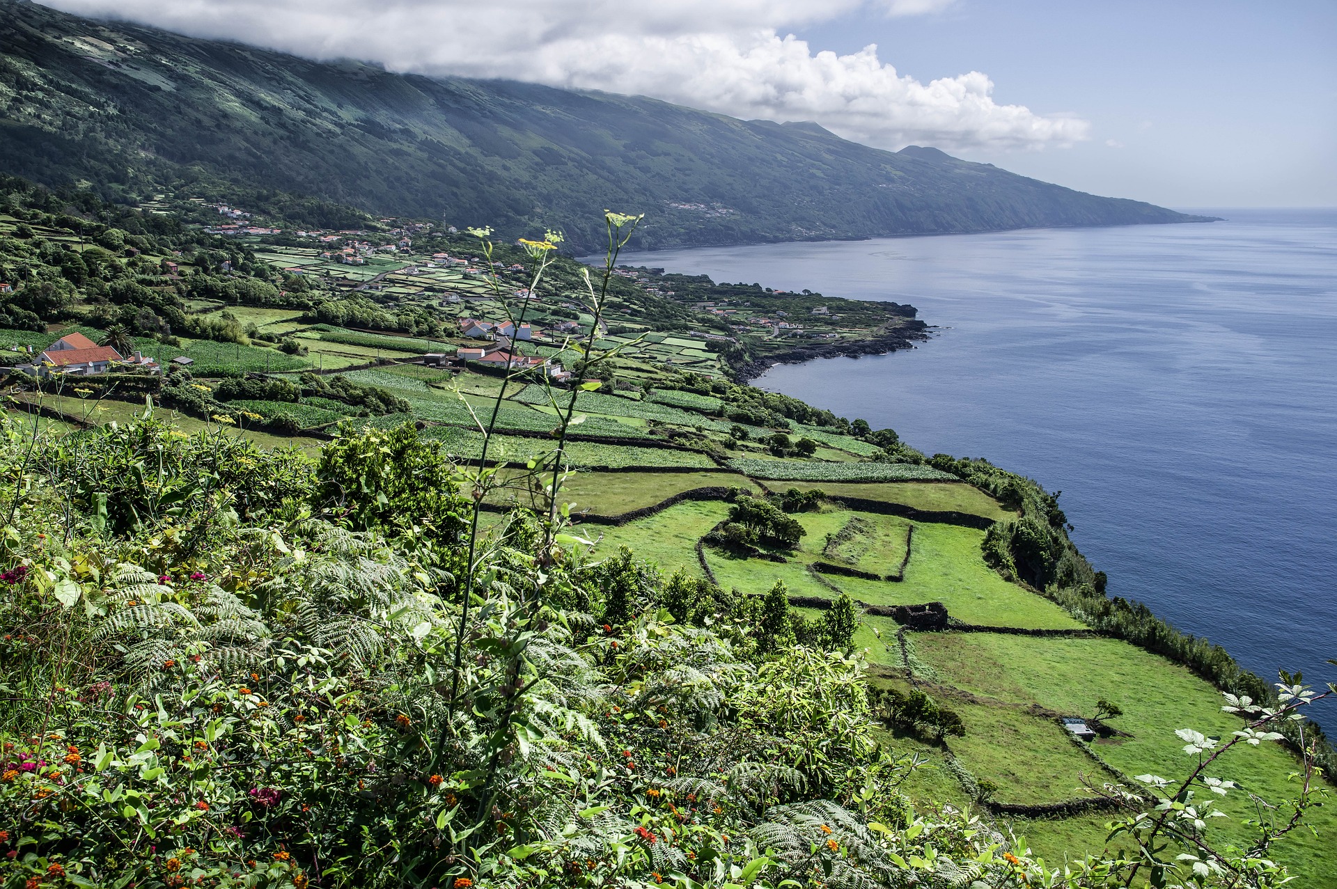 azores-gb8ca8e378-1920.jpg