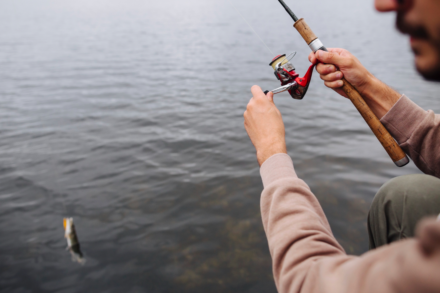 close-up-man-spinning-reel-catch-fish-from-water-1.jpg