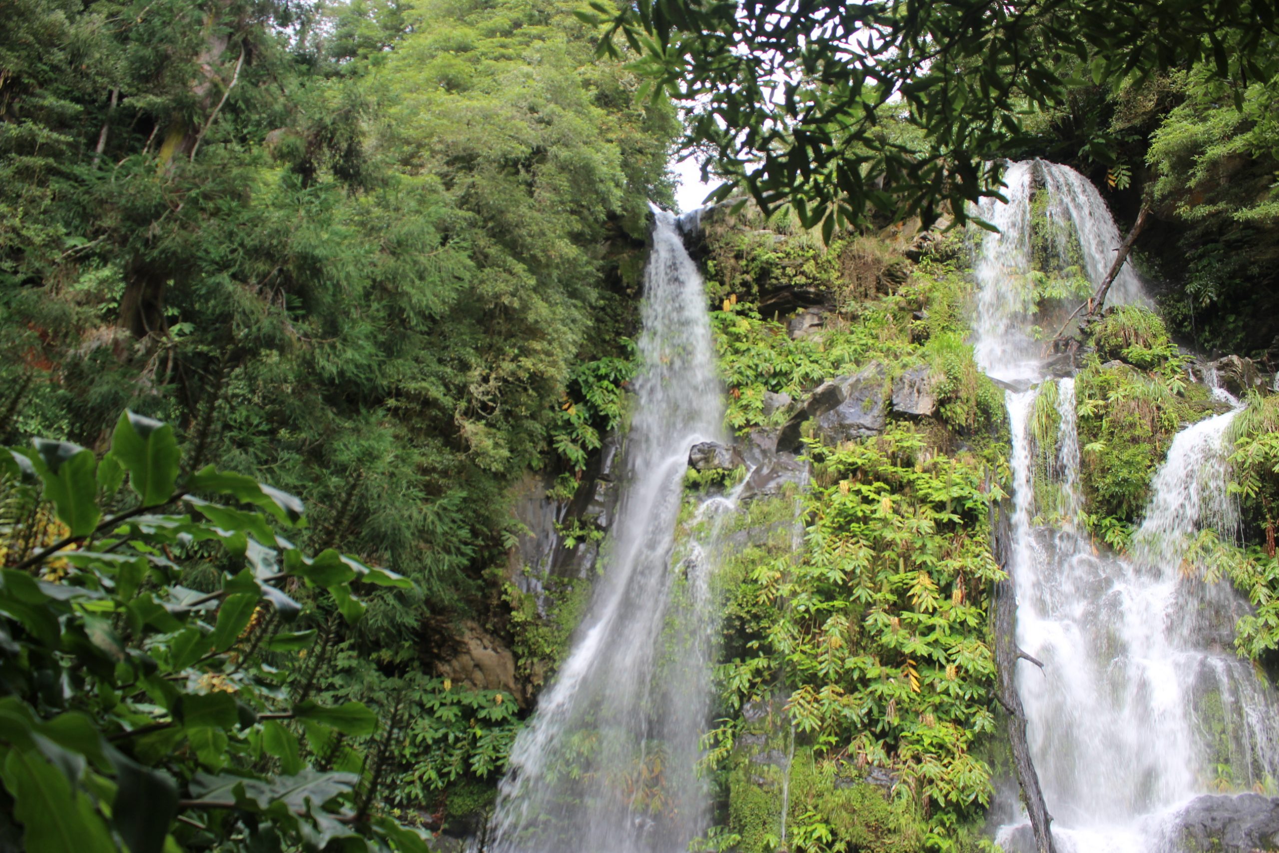 Estes são os melhores trilhos da Ilha de São Miguel!