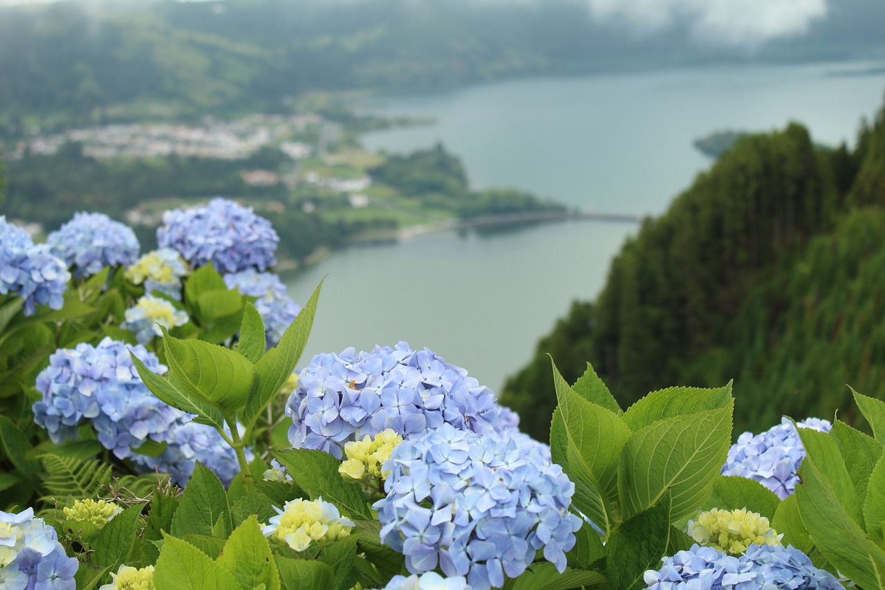landscape-3637631-1280.jpg