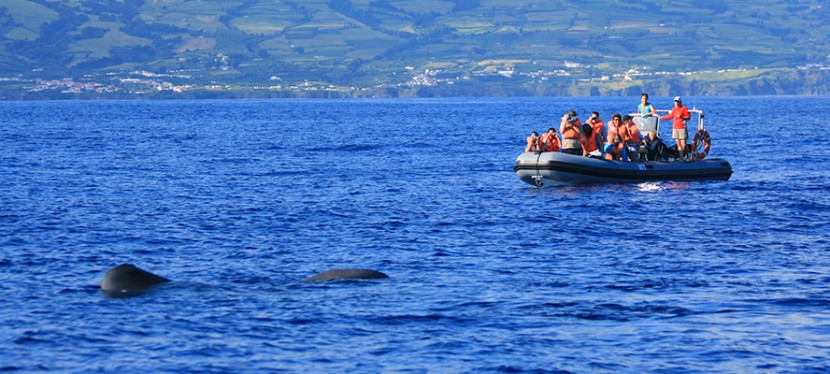 Pesca Desportiva